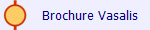 Brochure Vasalis